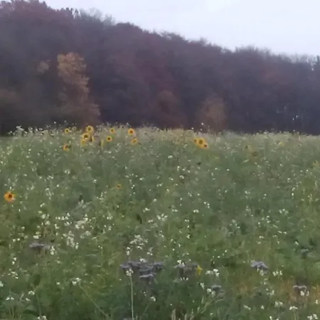 Relaxen Im Taubertal Apartment