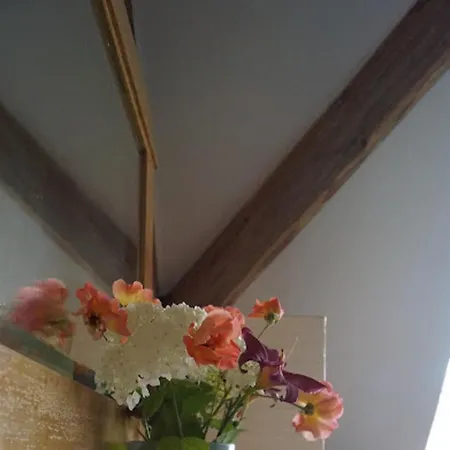 Apartment Relaxen Im Taubertal *